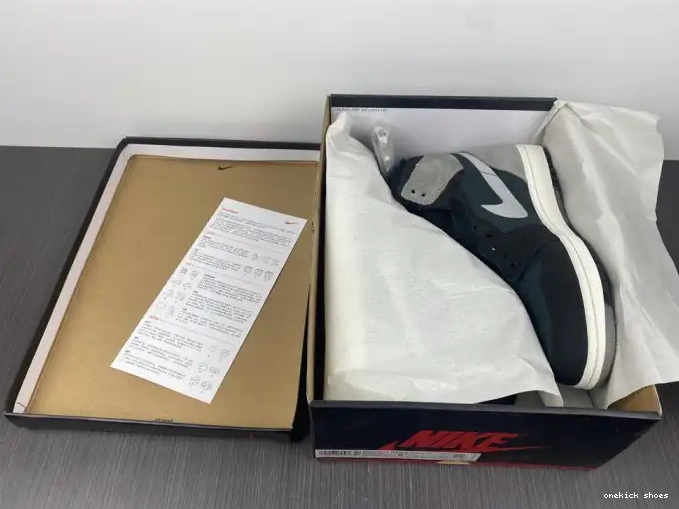 Rep Onekick Element Jordan High Gore-Tex DB2889-001 Retro 1 Grey Particle Black 0406